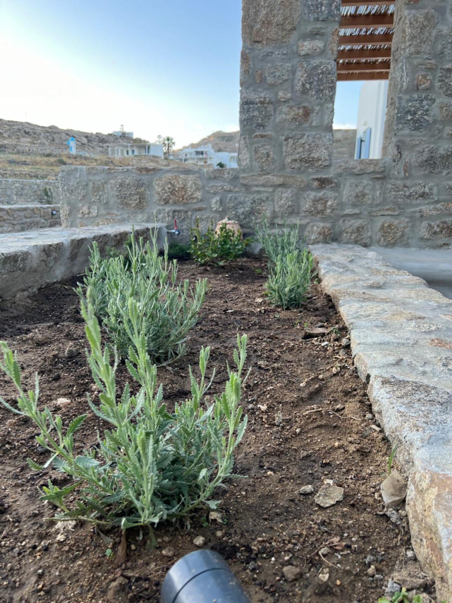 Miamis Villas Mykonos II Mykonos Town 外观 照片
